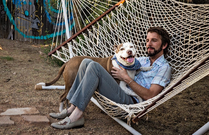 Man lying in a hammock with a brown and white dog in his lap