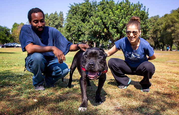 Enzo the dog outside on some grass with his foster family