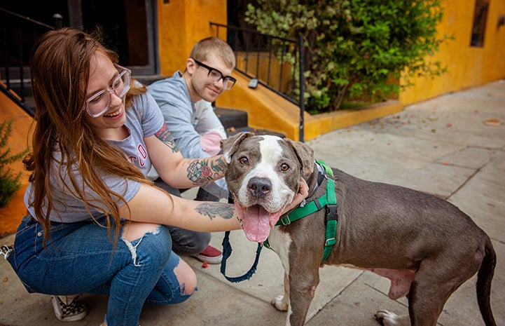 Woman squatting down to pet Harvey Milkbone the dog while another person is behind them sitting on some stairs