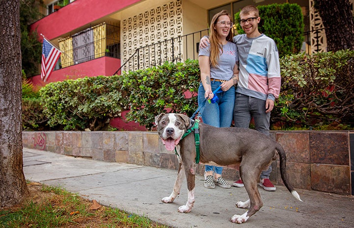 A smiling Harvey Milkbone the dog outside on a leash with his foster family