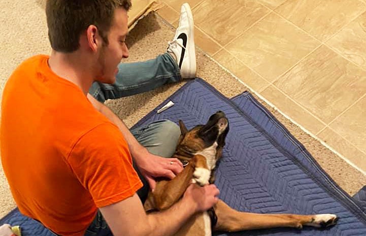 Man petting Almond the dog on the floor on a blue mat