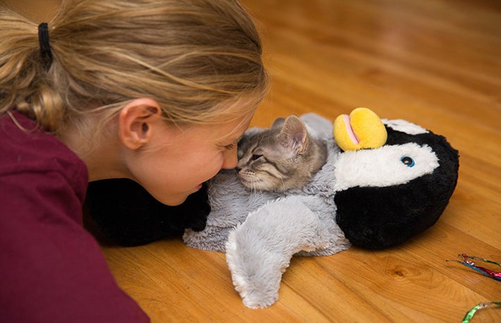 Woman face-to-face with a kitten in a stuffed penguin