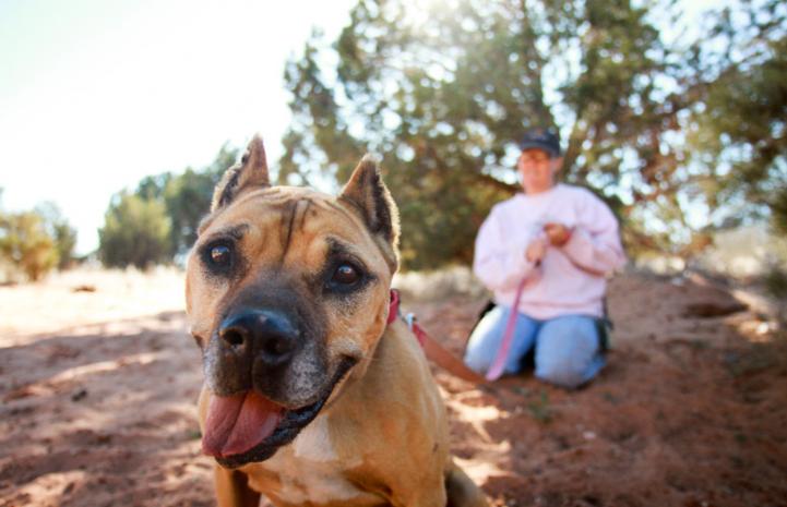 A smiling Georgia the Vicktory dog