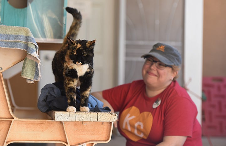 Meow the cat on a picnic table bench next to a smiling person