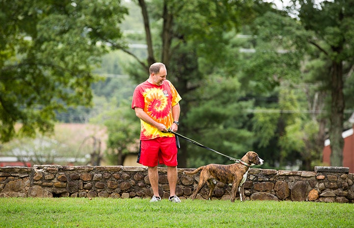 Man in a tie-dyed T-shirt walking a brown and white dog on a leash
