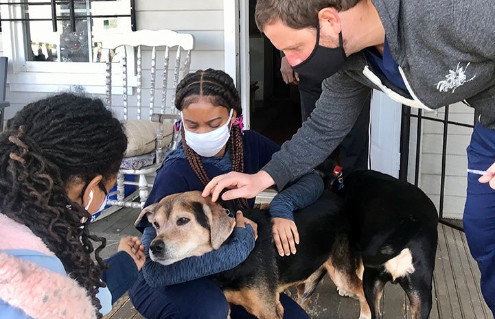 Multiple people providing a mobile veterinary visit for a dog
