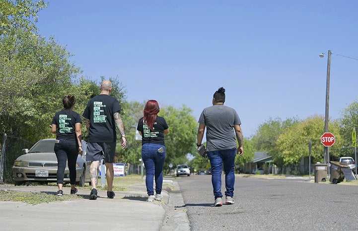 The backs of four people walking down a street together