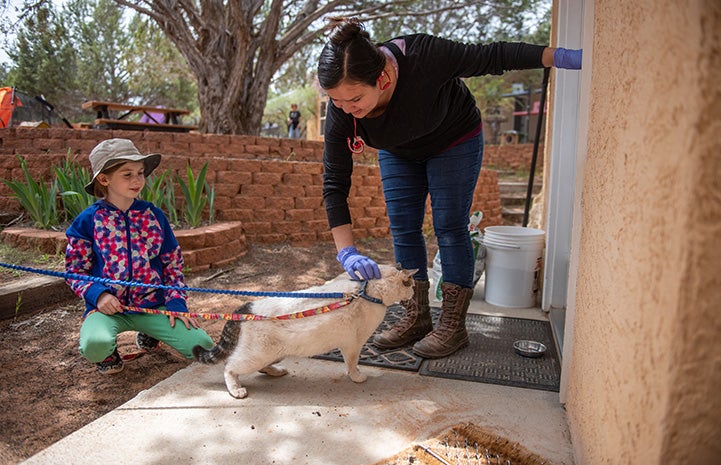 Paytrix the cat on a leash with some people soliciting treats from another building in Cat World