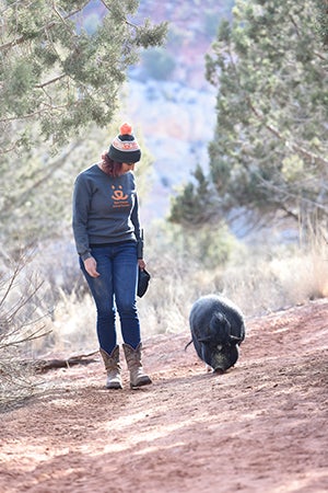 Amy took Wilbur the pig outside for walks during her breaks