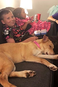 Harley the Lab lying on a couch with two children