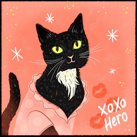 Drawing of Hero the cat wearing a pink outfit with starts, XOXO and kisses