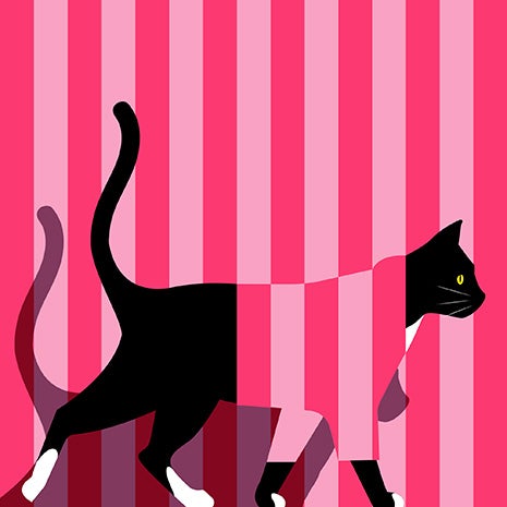 Hero the cat drawing walking and wearing a pink striped outfit with a pink stripped background