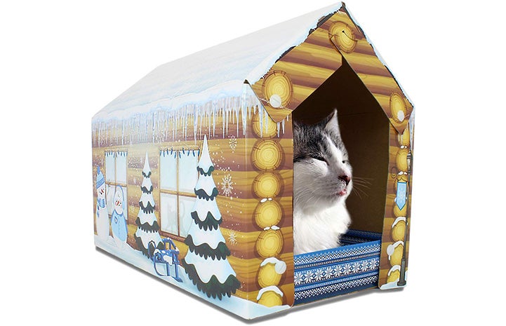 Cat lying in a kitty cardboard house