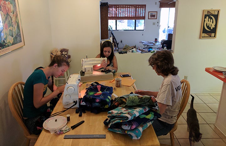 A group of people putting blankets together to be donated to Best Friends