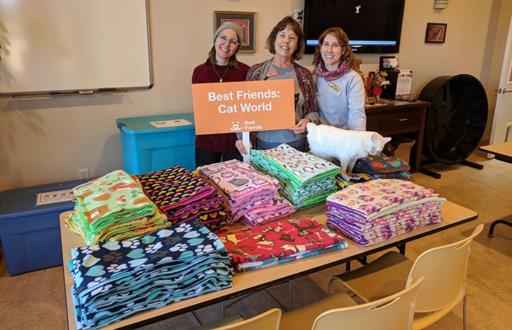 A big pile of blankets donated with Cat World, with staffers standing behind them