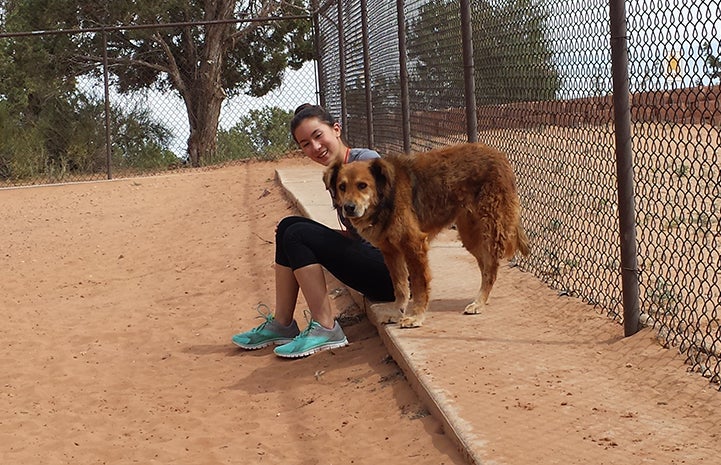Isabel volunteering at Dogtown, sitting and petting a brown fluffy dog
