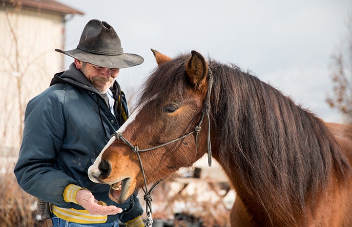 Bob with the horse Daisy, who he adopted