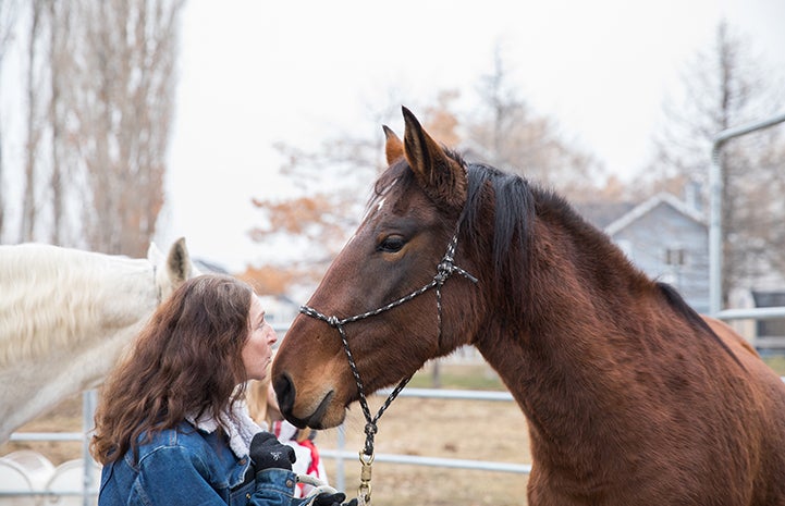Kiwi the horse was a surprise adoption for Sarah