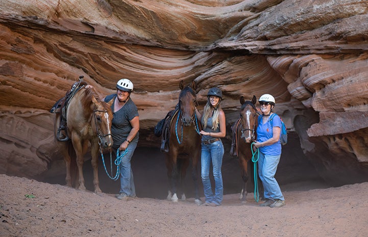 Three horses, including Jasper and Starlight, and three people standing beside a rock formation
