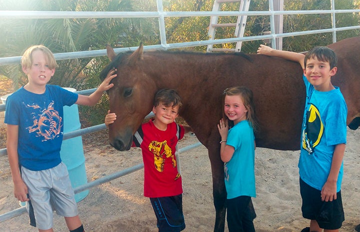 Willie the horse with the four children of his new family