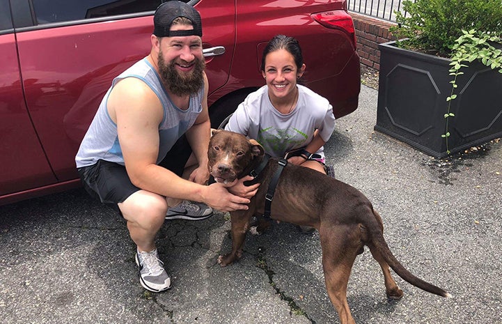Bonnie and her boyfriend with Arrow, a brown and white pit-bull-type dog, in front of a vehicle