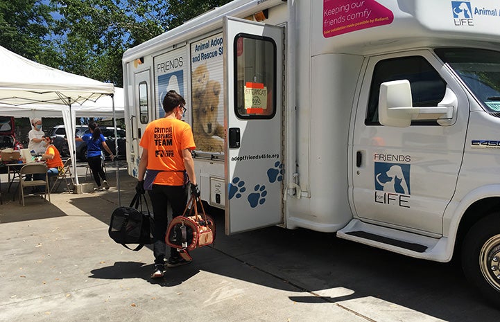 Person carrying two carriers holding animals into a Friends for Life van