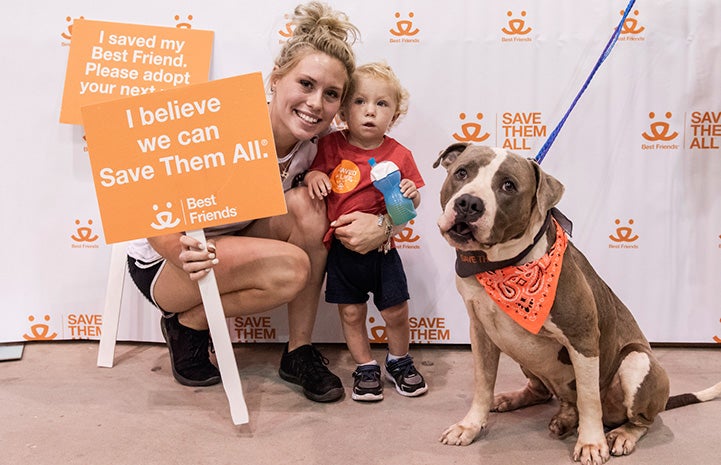 Loki the pit bull terrier mix wearing an orange bandanna gets adopted at the Houston Super Adoption