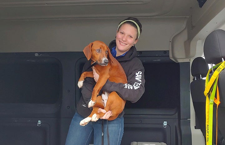 Woman wearing a Save Them All hoodie and headband holding a brown and white dog in a transport vehicle