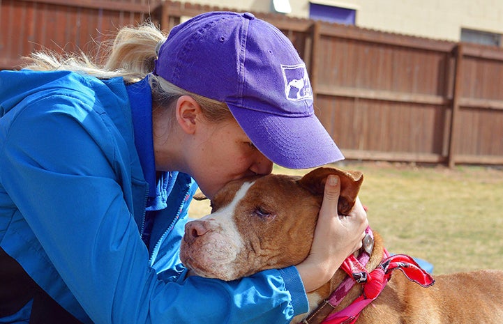 Woman wearing a hat giving a kiss to the top of the head of a brown and white pit-bull-terrier-type dog