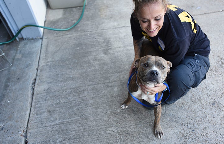 ATF agent Holley helping animals after Hurricane Harvey