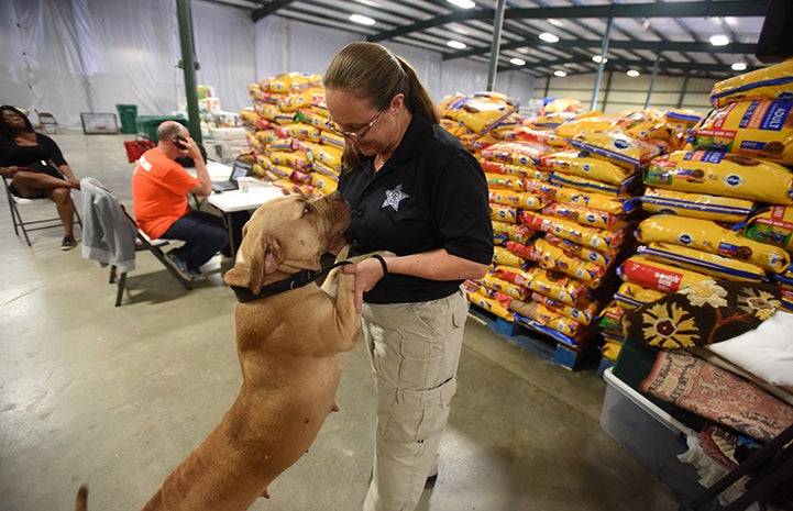Montgomery County animal control officer with a dog in front of piles of food