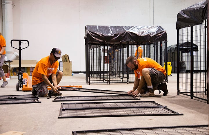 Rhett Notman helping assemble a kennel at the NRG Arena following Hurricane Harvey