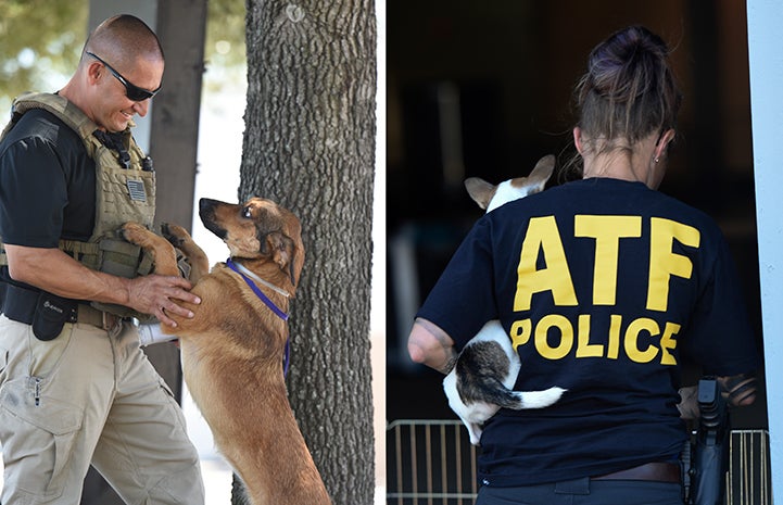 ATF police helping animals after Hurricane Harvey