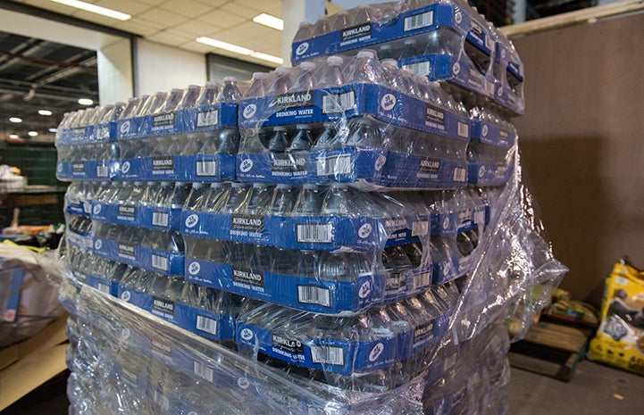 Cases of water were donated after Hurricane Harvey