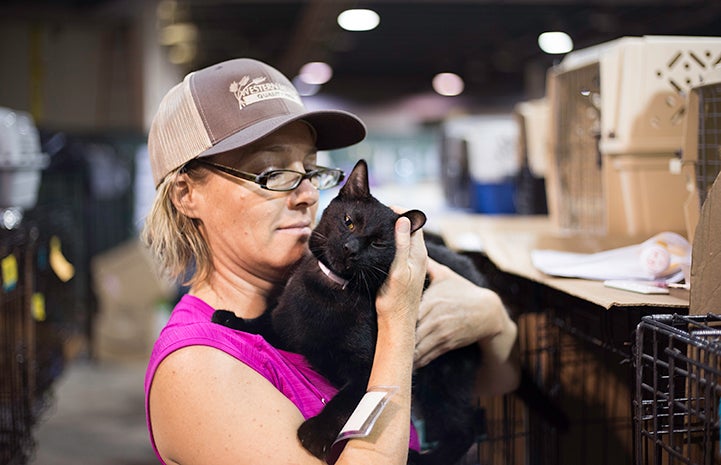 Laura Kephart helps care for more than 150 cats at the Pet Reunion Pavilion