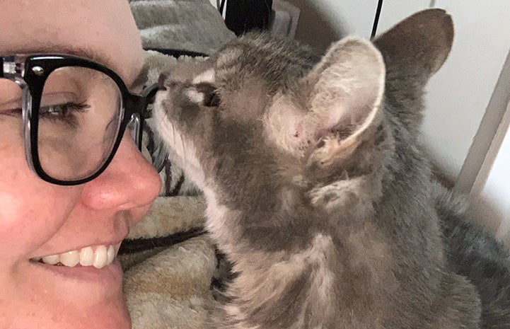 Lyla the cat sniffing a person's face