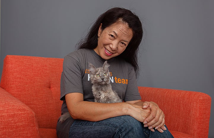 Smiling woman on an orange chair holding Rogue, the dilute tortoiseshell kitten, in her lap