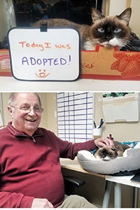 Collage of two photos: one of Valerie the cat with a sign "Today I was adopted" and the second photo of BJ petting Valerie