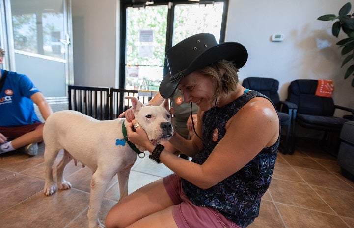 Dog at Best Friends Animal Sanctuary gets love from a volunteer