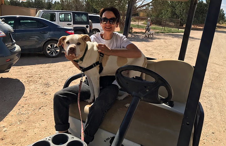 Donna Cerio sitting in a golf cart with a tan and white dog sitting in her lap