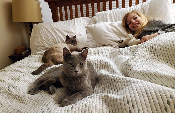 Eight-year-old Mila in bed with Kiefer and Haroun the cats