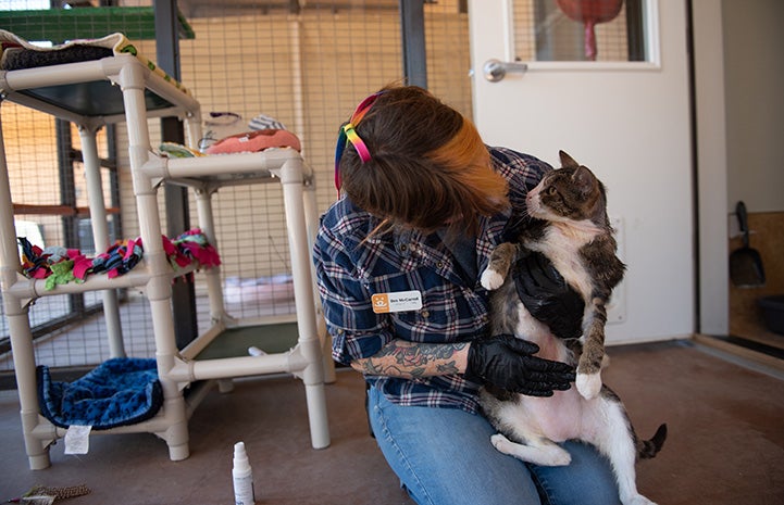 Person at Cat World picking up Pendleton the cat