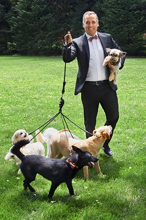 Joe Gatto in a suit holding one dog and walking four more on leashes