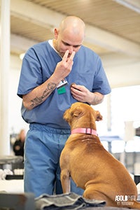 Incarcerated person getting a brown dog to look up at his eyes
