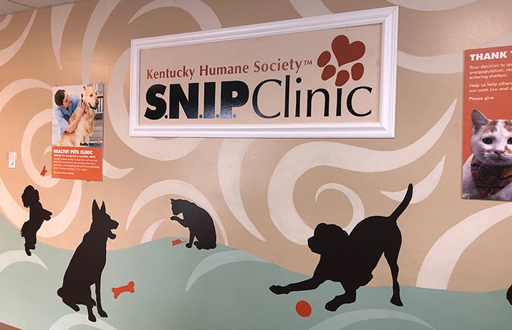 Kentucky Humane Society S.N.I.P. Clinic sign with dogs and cats painted around it