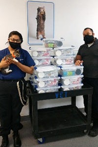 Two people standing next to a table holding stacked kitten kits and one person holding a kitten