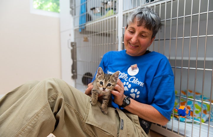 Linda the volunteer leaning against some cat kennels with Xactly the kitten in her lap
