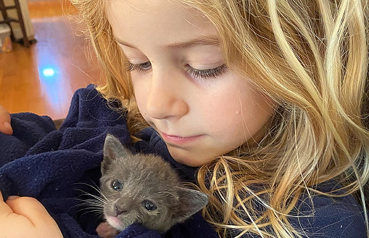 Young girl cuddling a small gray kitten in a blanket