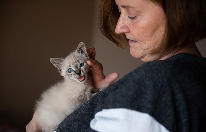Wendy the foster mom holding Vern the Siamese mix kitten