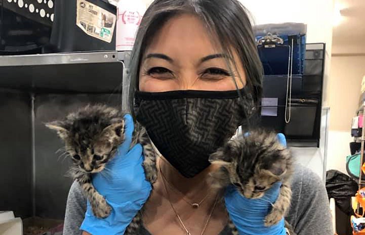Smiling person wearing a mask holding two kittens (one in each gloved hand on either side of her face)